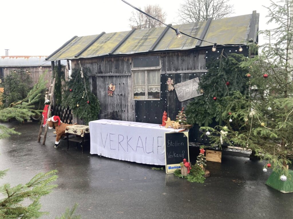 594078827_1298024695701027_102481084307933792_n